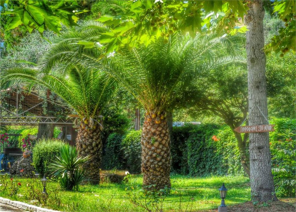 Aparthotel Aneton Chrysi Ammoudia Exteriér fotografie