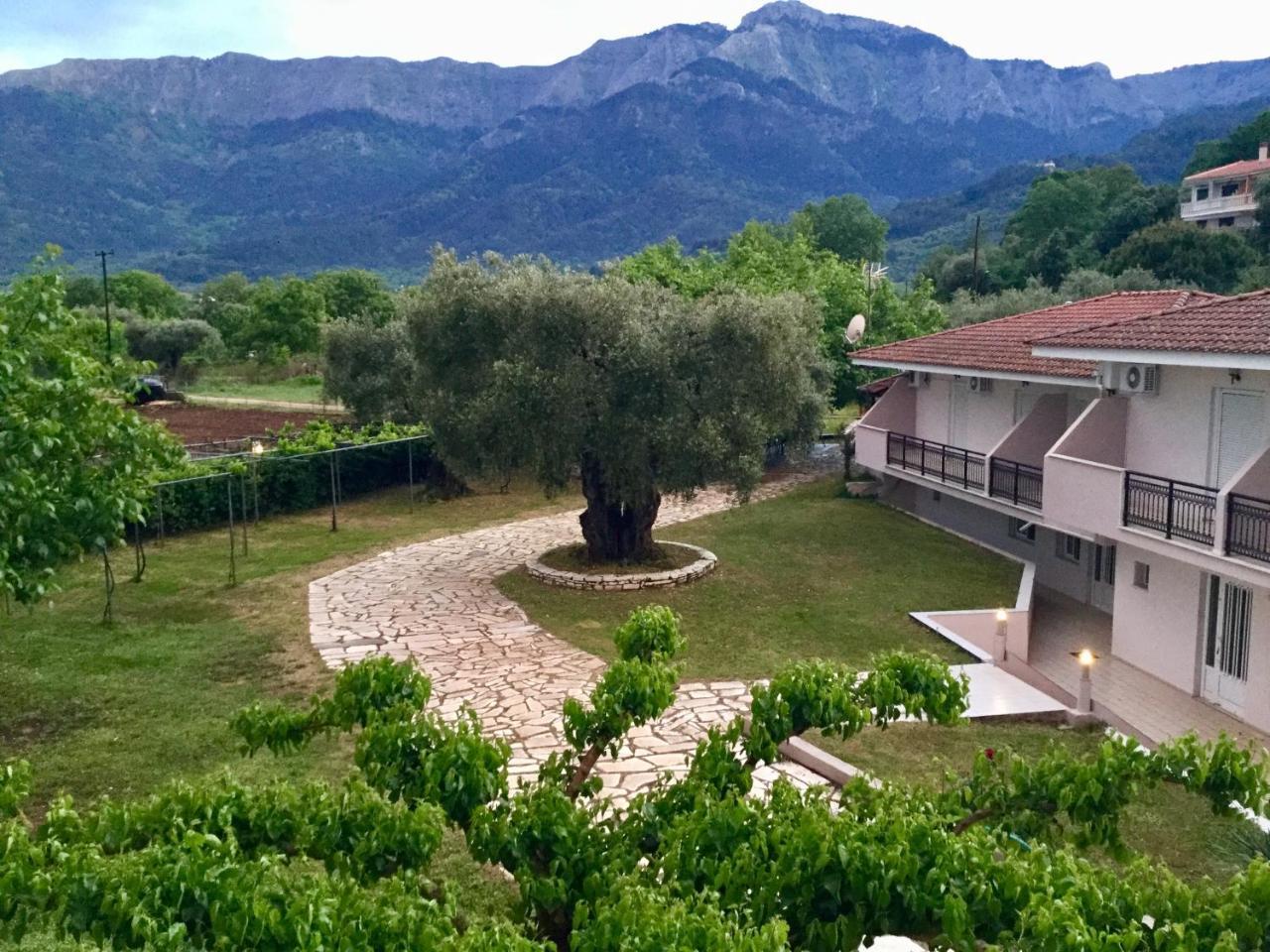 Aparthotel Aneton Chrysi Ammoudia Exteriér fotografie
